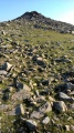 Carnedd Fach