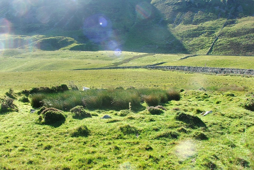 Click for full size image of Hafoty-Fach cairns (PID:95166) Hafoty-Fach cairns