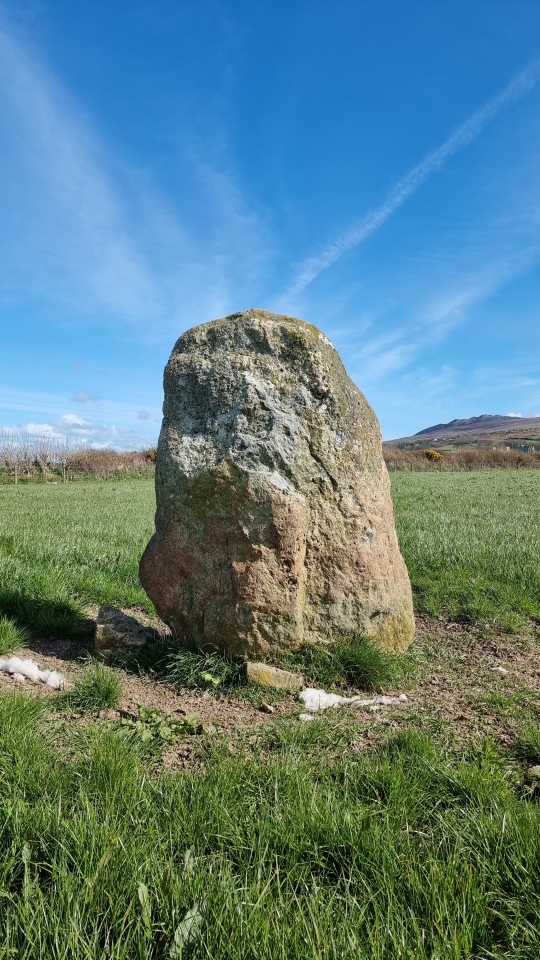 Standing Stone near Tyconel Farm