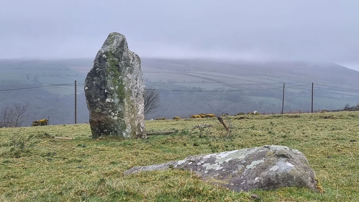 Click for full size image of Trefach (PID:239718) Trefach