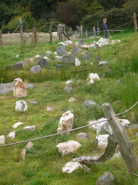 Click for full size image of Castell Henllys (PID:70618) Castell Henllys