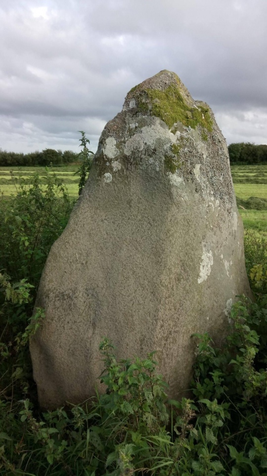 Maenclochog Standing Stones