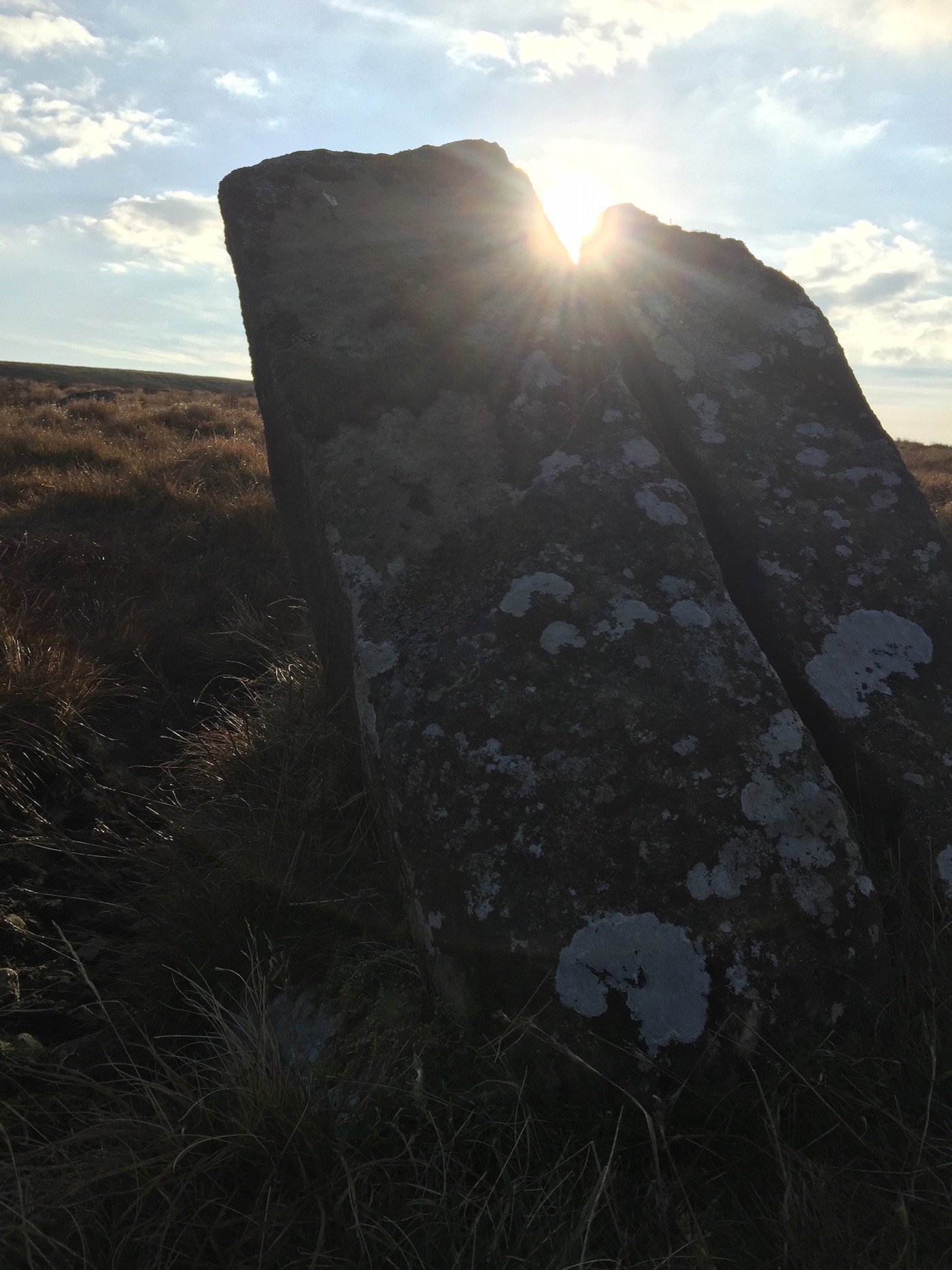 Click for full size image of Foel Eryr Cairn (PID:144564) Foel Eryr Cairn