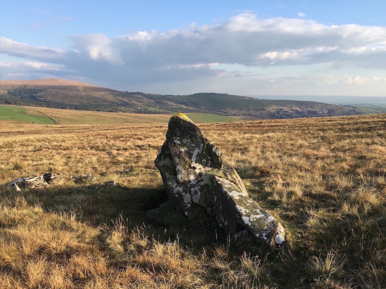 Click for full size image of Foel Eryr Cairn (PID:144563) Foel Eryr Cairn