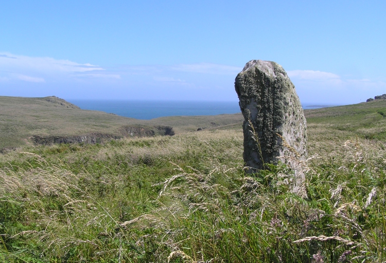 Click for full size image of Skomer Stone (PID:40647) Skomer Stone
