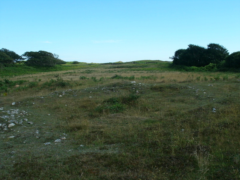 Stackpole Warren