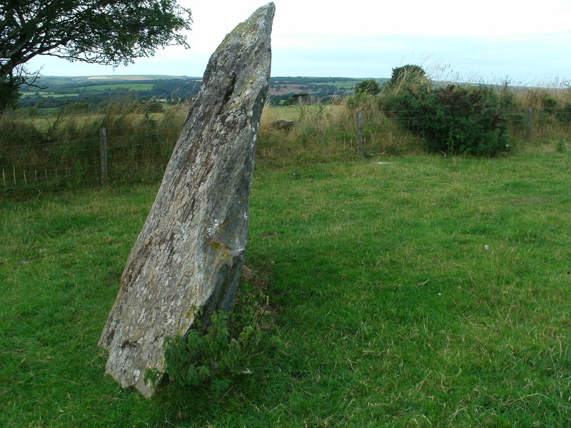 Penfeidr Coedan Stone