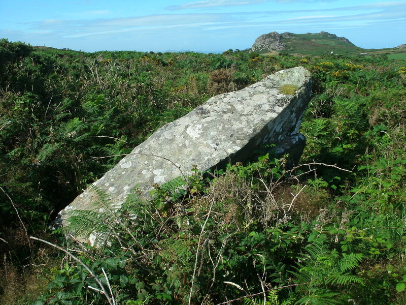 Garn Gilfach Standing Stone