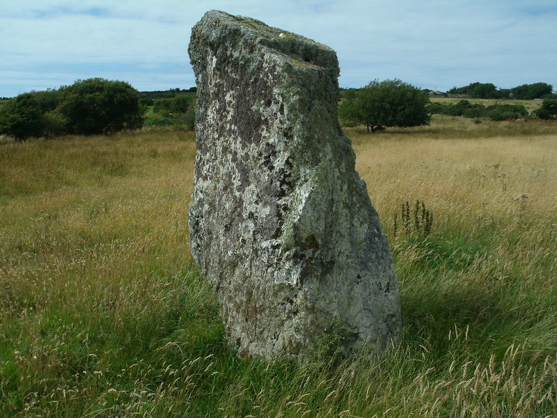 Click for full size image of Fynnon Drudion (PID:112575) Fynnon Drudion