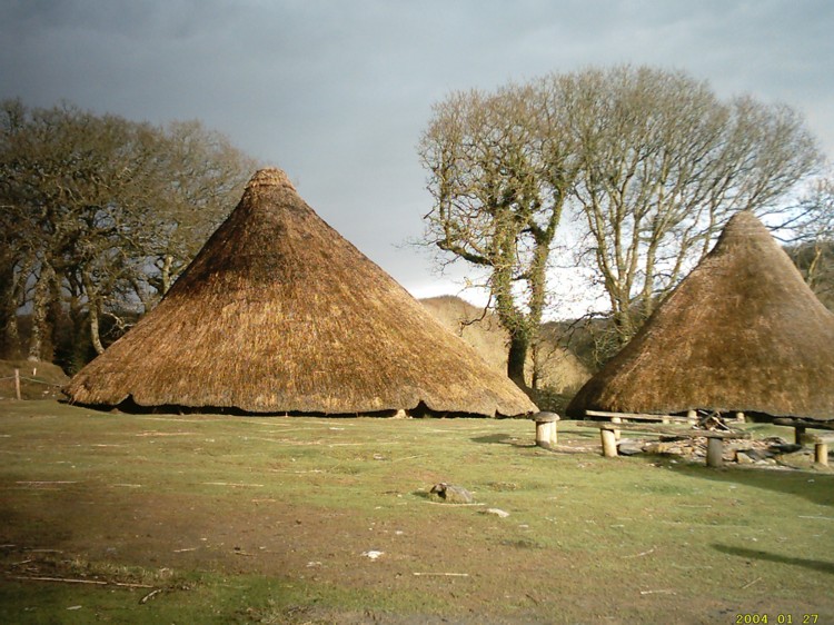 Click for full size image of Castell Henllys (PID:5297) Castell Henllys