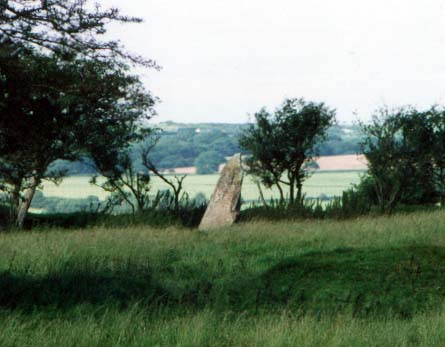 This single standing stone known as the Penfeidr Coedan Stone 
 can be found south of the Pentre Ifan monument and can be viewed from a field entrance at SN09853675.  Nearby is thought to be the source of the stone that was used to make Pentre Ifan.
