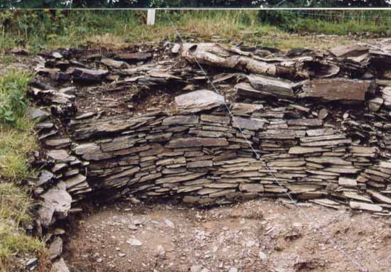 Click for full size image of Castell Henllys (PID:3046) Castell Henllys