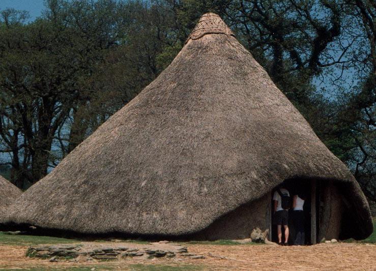 Click for full size image of Castell Henllys (PID:168) Castell Henllys
