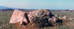 Trellyffaint Tomb