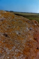 Click for full size image of Trellyffaint Tomb (PID:26547) Trellyffaint Tomb