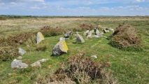 Click for full size image of Bedd yr Afanc (PID:227661) Bedd yr Afanc