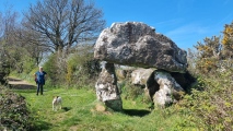 The Hanging Stone (Pembrokeshire)