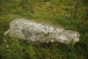 Click for full size image of Trefach (PID:122700) Trefach