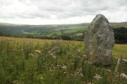 Click for full size image of Trefach (PID:122701) Trefach
