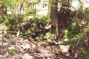 Click for full size image of Castell Henllys Sacred Spring (PID:5995) Castell Henllys Sacred Spring