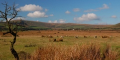 Gors Fawr Stone Circle