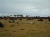 Click for full size image of Gors Fawr Stone Circle (PID:6871) Gors Fawr Stone Circle