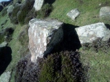 Coetan Arthur Dolmen