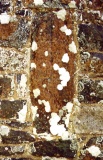 St Gwyndaf Stones - PID:7619