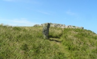 Click for full size image of Skomer Stone (PID:40644) Skomer Stone