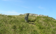 Skomer Stone