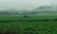 Click for full size image of Trellyffaint Tomb (PID:783) Trellyffaint Tomb