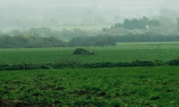 Trellyffaint Tomb