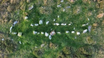 Click for full size image of Bedd yr Afanc (PID:282613) Bedd yr Afanc