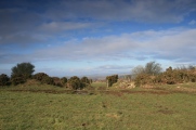 Castell Mawr (Pembrokeshire)