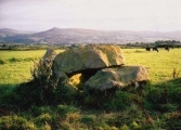 Trellyffaint Tomb