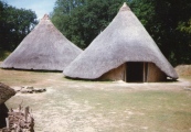 Click for full size image of Castell Henllys (PID:78559) Castell Henllys