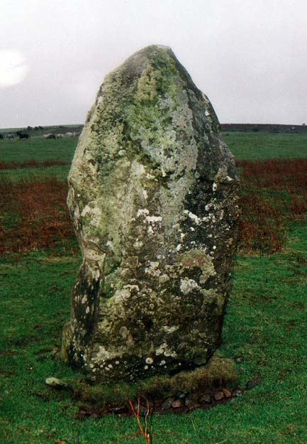 Trefach (PID:2221) Trefach