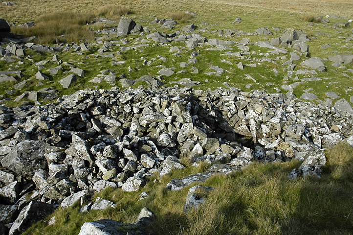 Carn Bica (PID:67786) Carn Bica