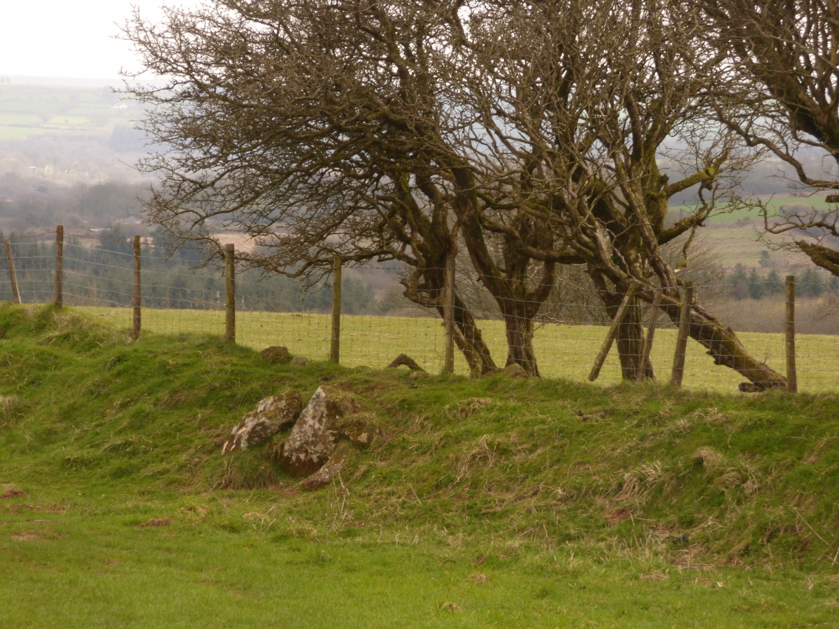 Glynsaithmaen SW (PID:256374) Glynsaithmaen SW