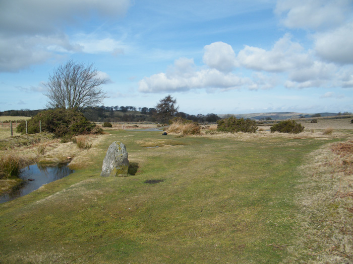 Mynydd Illtud Standing Stone 1