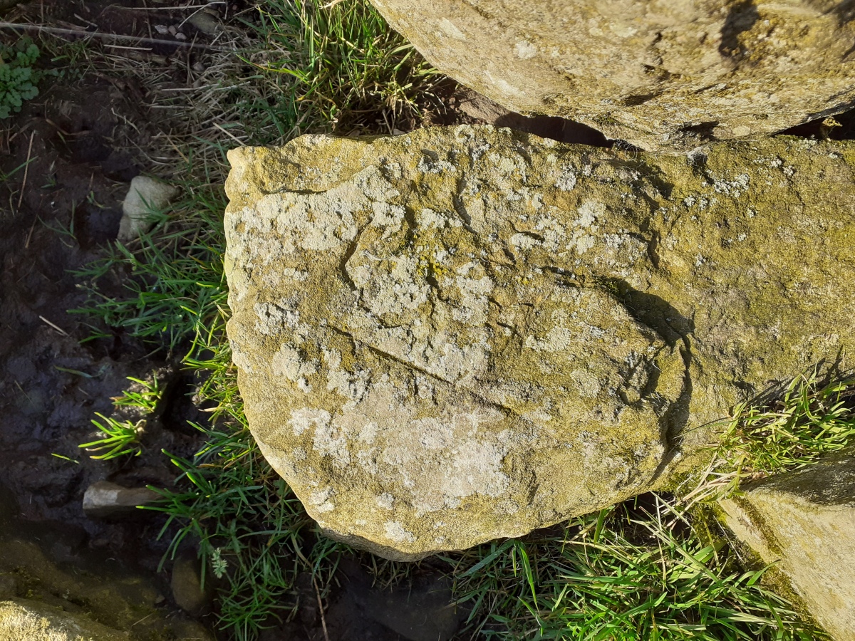 Click for full size image of Afon y Dolau Gwynion (PID:220482) Afon y Dolau Gwynion