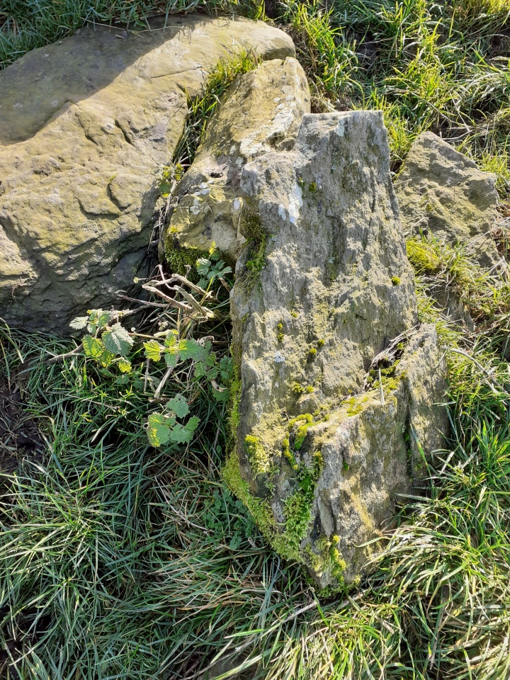 Click for full size image of Afon y Dolau Gwynion (PID:220483) Afon y Dolau Gwynion