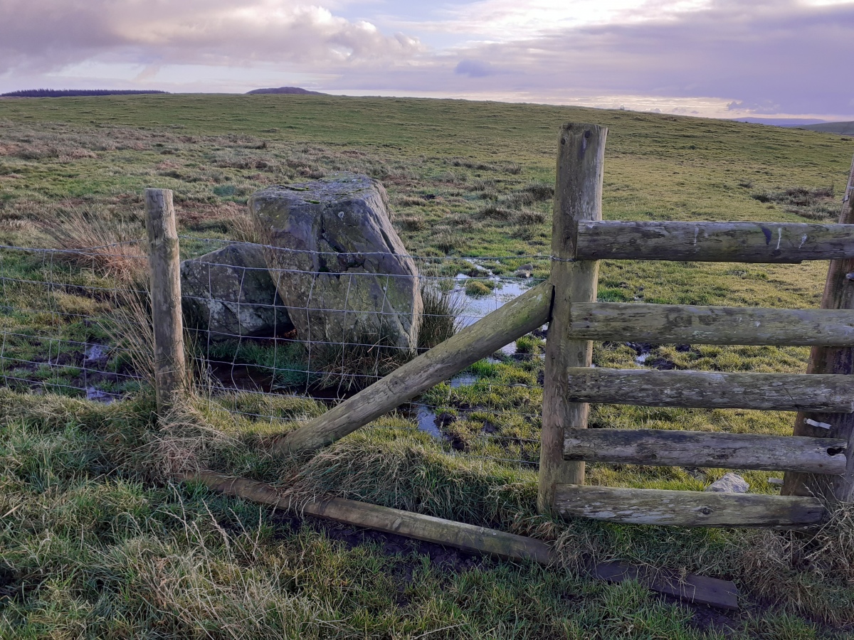 Click for full size image of Afon y Dolau Gwynion (PID:220480) Afon y Dolau Gwynion