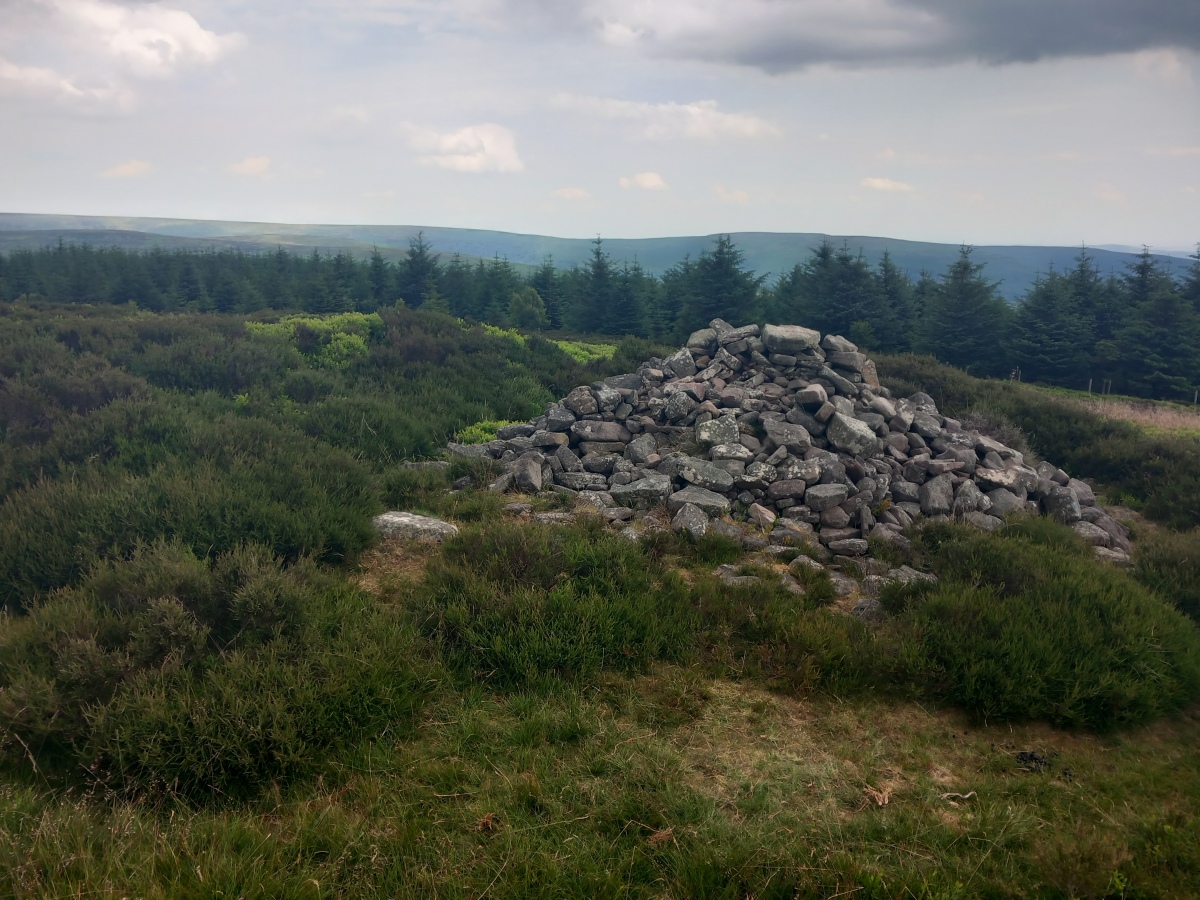 Disgwylfa, Cairn I