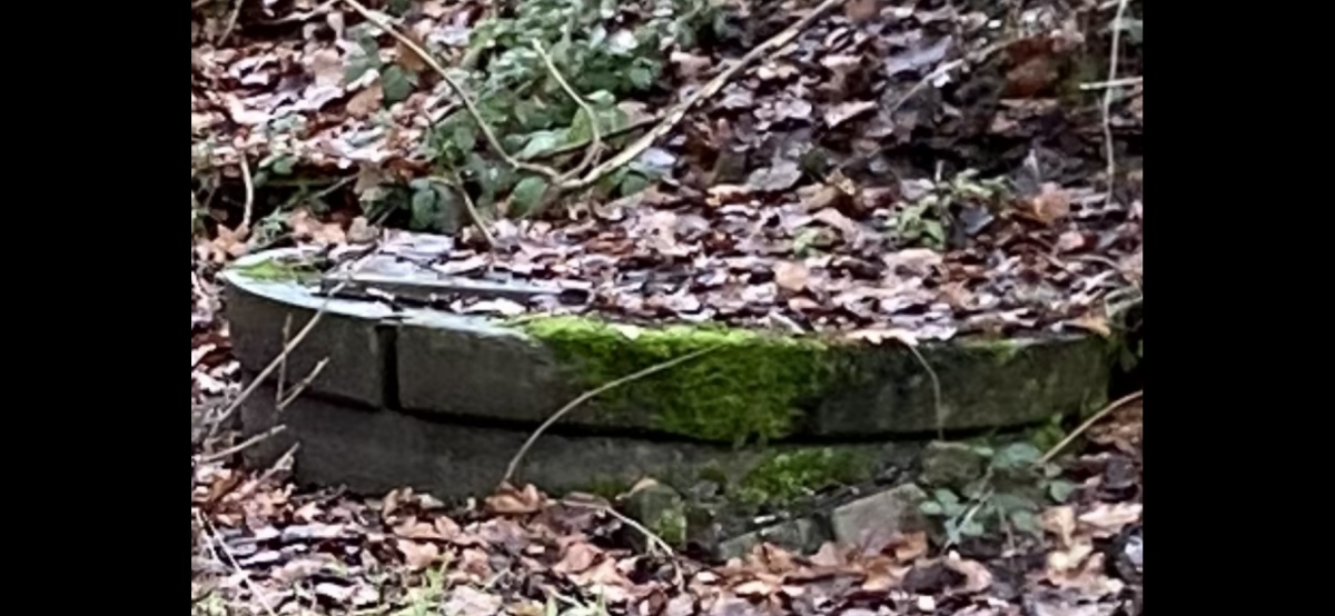The Monk's Well