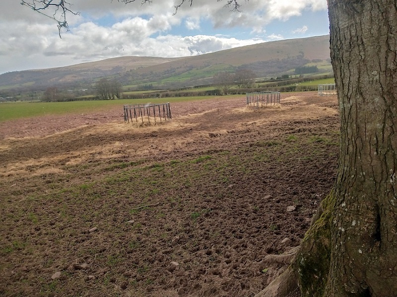 Coed Mawr Hillfort