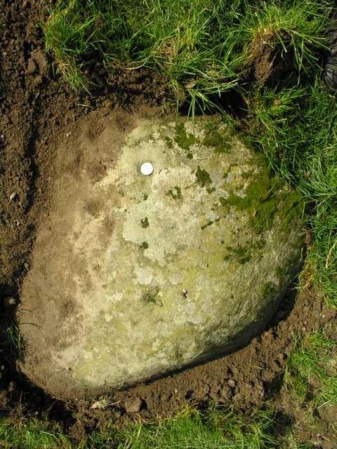 The Llanerch Stone - covered in cup marks (not sure if any rings); also thought there could be 2 chevrons and a lozenge shape. The stone is largely covered over to prevent weathering, so we returned the disturbed sods to the stone once we'd had a peep.
Had a long natter with the farmers here too, who know of the stone, and regard it with interest, curiosity and keep an eye out for its wellbeing.