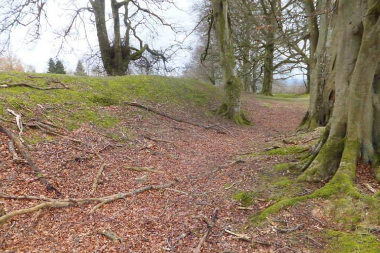 Castle Ring (Powys) (PID:118284) Castle Ring (Powys)