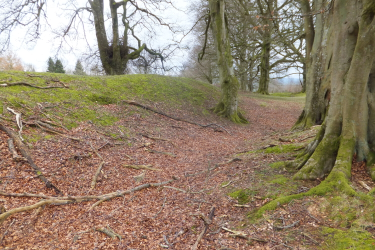 Castle Ring (Powys)