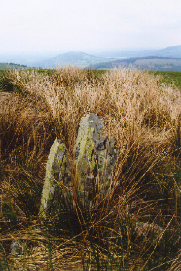 Click for full size image of Carreg Wen Fawr Y Rugos Stone Row (PID:56240) Carreg Wen Fawr Y Rugos Stone Row